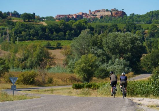 Le miel et les abeilles !