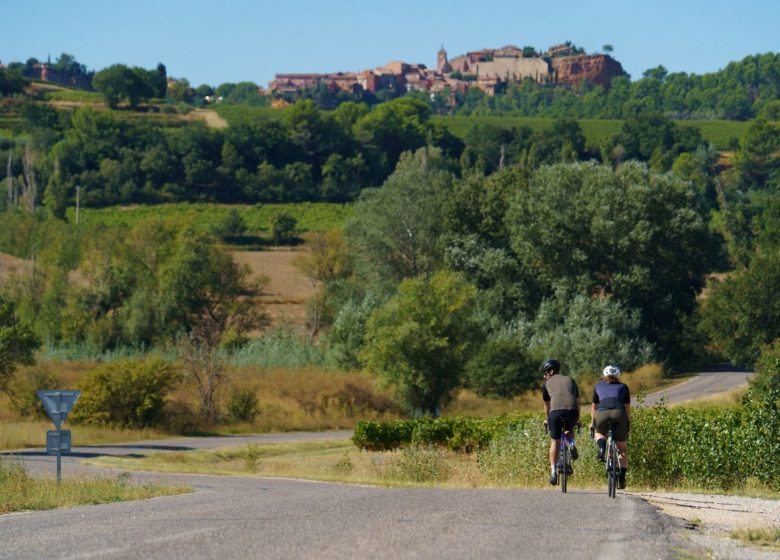 Le miel et les abeilles !