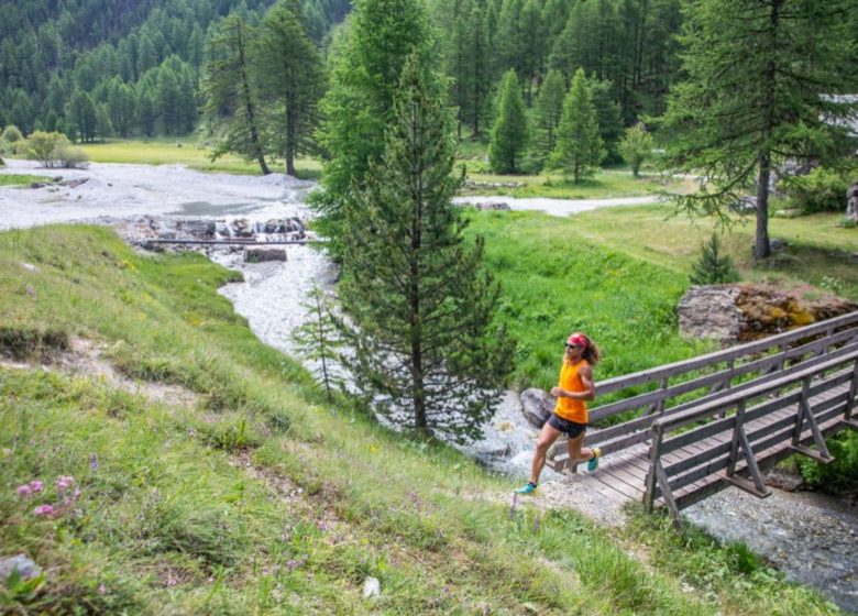 5 – Sur les routes de Romain