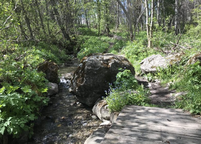 5 – Sur les routes de Romain