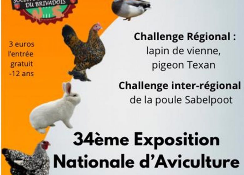 34e exposition nationale d&rsquo;Aviculture