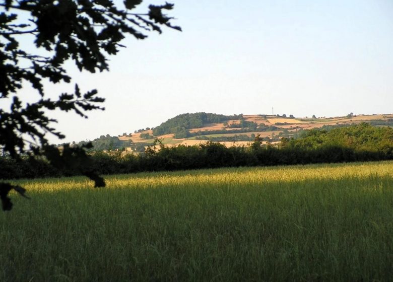 Maison à la Chassagne