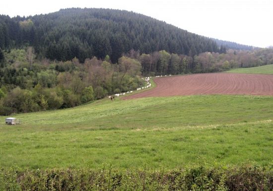 Maison à la Chassagne