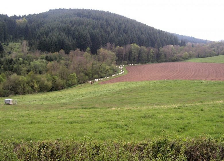Maison à la Chassagne