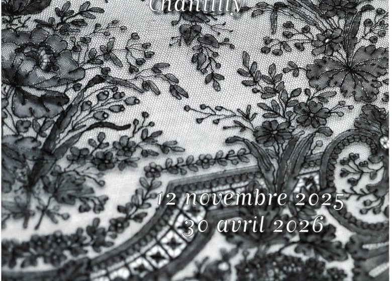 Hôtel de la Dentelle