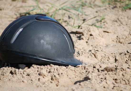 Ferme du Gray – Ecurie de propriétaires (chevaux)