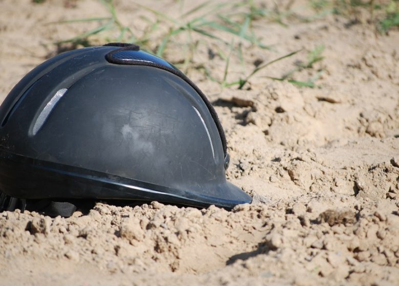Ferme du Gray – Ecurie de propriétaires (chevaux)