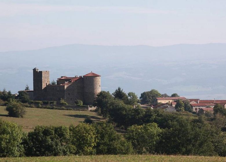 5 – Sur les routes de Romain