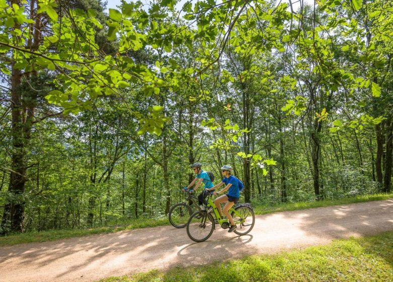 La vallée du Doulon