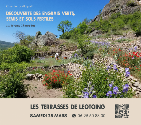 Chantier participatif – Découvertes des engrais verts, semis et sols fertiles