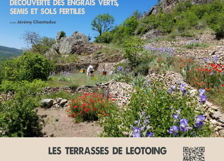 Chantier participatif – Découvertes des engrais verts, semis et sols fertiles