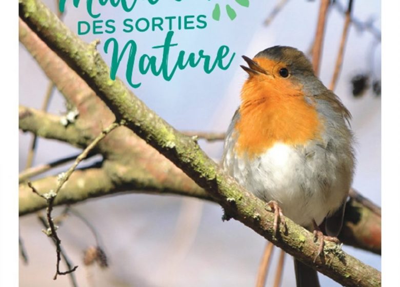 De la vannerie au milieu d&rsquo;un verger