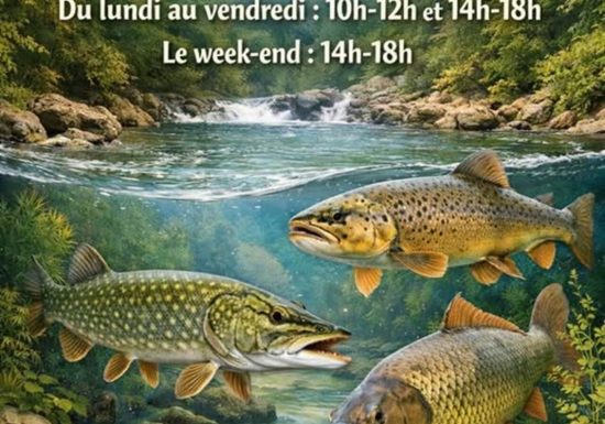 Aquarium La Maison du Saumon et de la Rivière