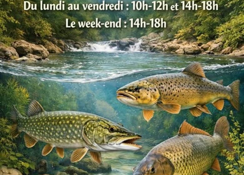 Aquarium La Maison du Saumon et de la Rivière