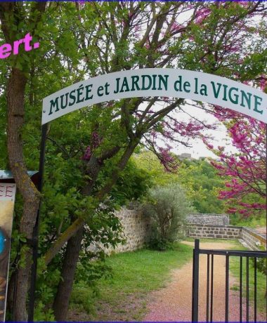 Musee de la Vigne et du Patrimoine