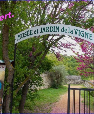 Musee de la Vigne et du Patrimoine