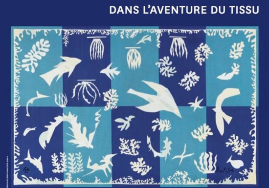 Henri Matisse -Dans l&rsquo;aventure du tissu-