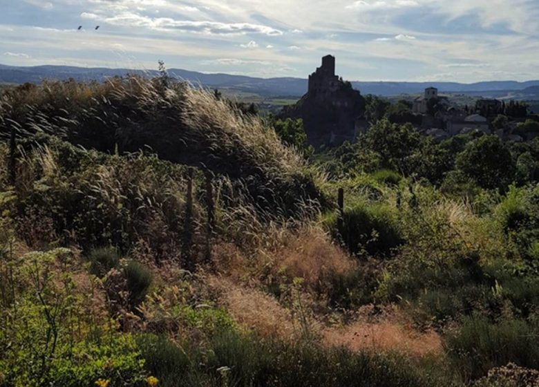 Chantier participatif : On sème aux terrasses : engrais verts et sols fertils