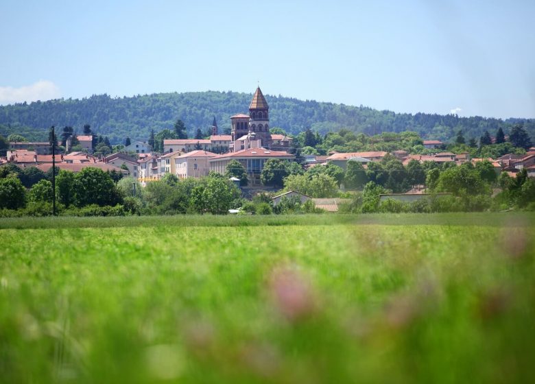 Visites théâtralisées et guidées du centre-ville