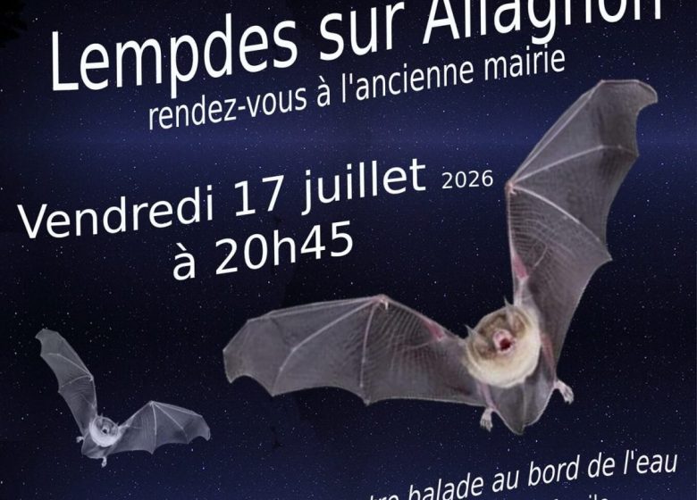La nuit de la chauve-souris