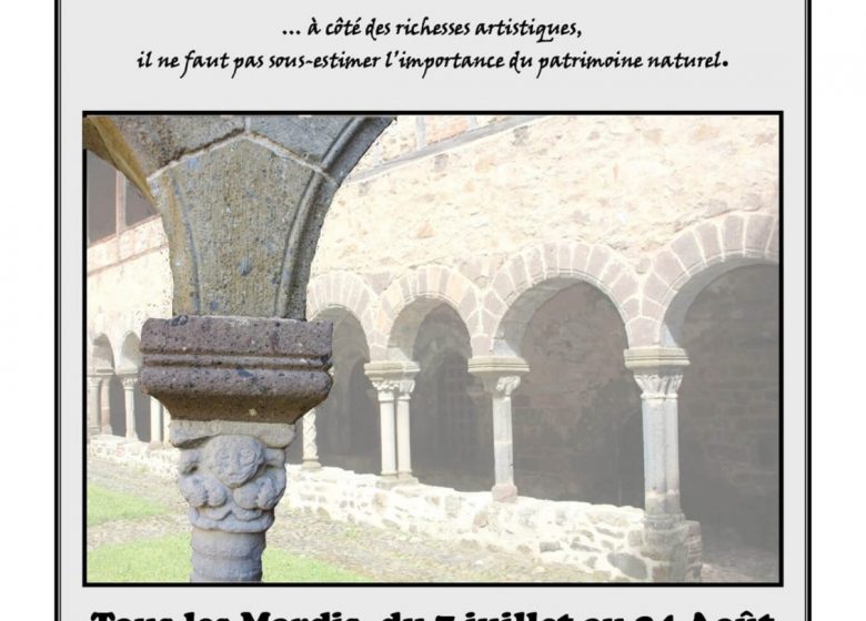 Une découverte animée des curiosités géologiques du cloître de Lavaudieu