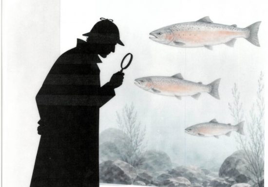 Aquarium La Maison du Saumon et de la Rivière