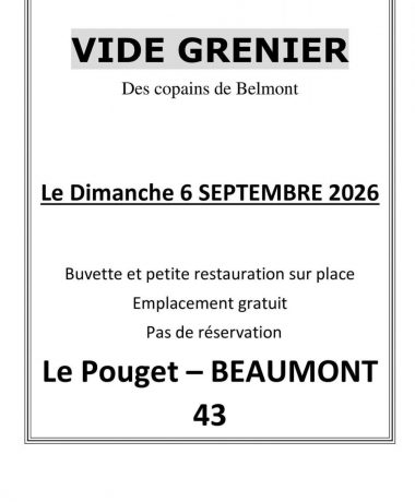 vide grenier