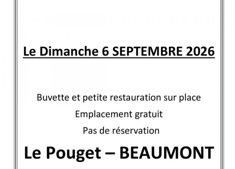 vide grenier