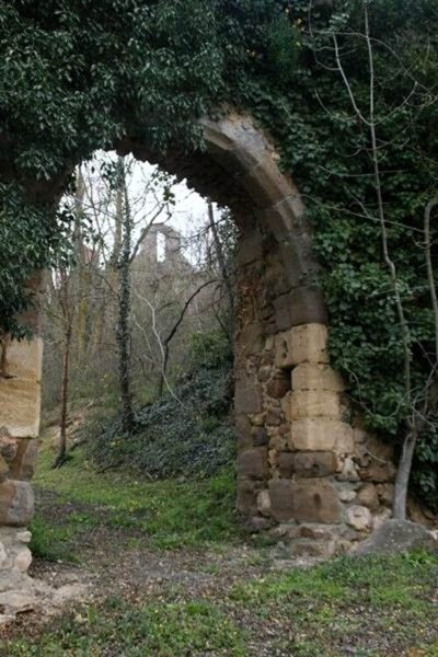 Découverte de la biodiversité autour de la Chapelle et du Château de Laroche