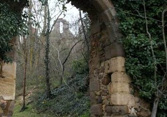 Découverte de la biodiversité autour de la Chapelle et du Château de Laroche