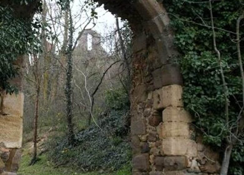 Découverte de la biodiversité autour de la Chapelle et du Château de Laroche
