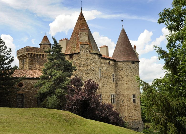 Visite du château de Lespinasse