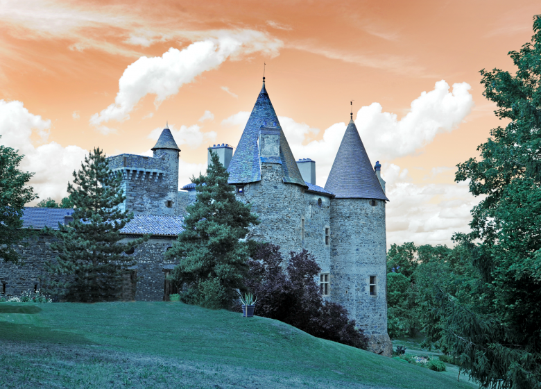 Visite du château de Lespinasse