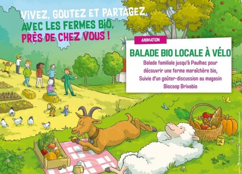 Balade bio locale à vélo