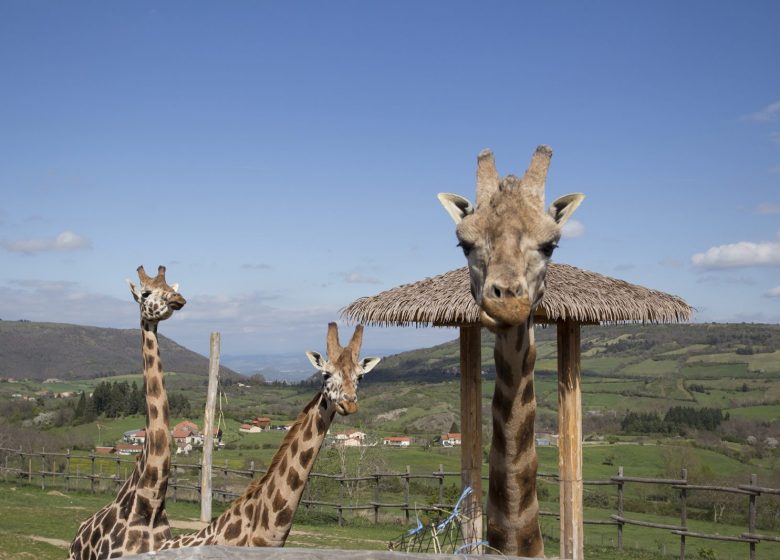 Parc Animalier d&rsquo;Auvergne