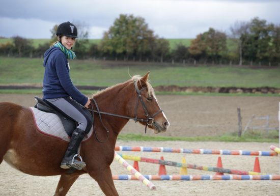 Ferme du Gray – Ecurie de propriétaires (chevaux)
