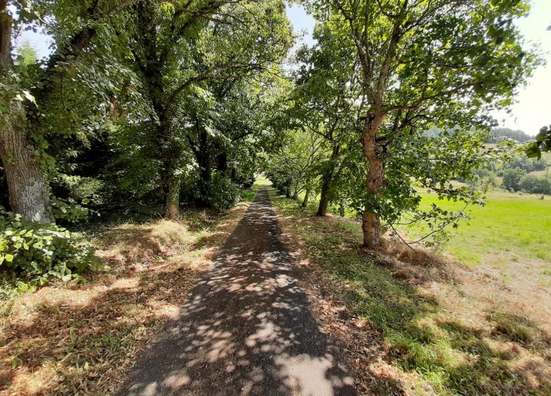 Le colombier de Balistroux – Les Glycines