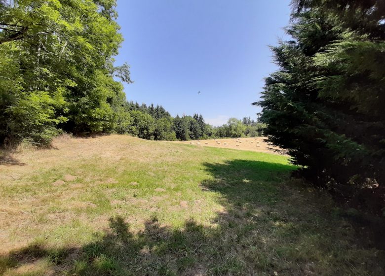 Le colombier de Balistroux – Les Glycines