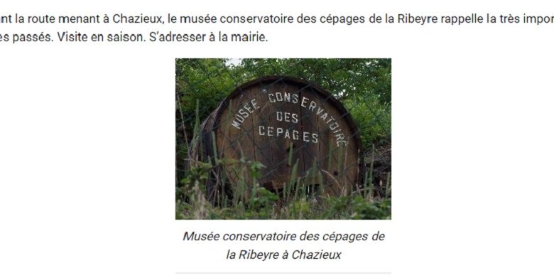 Le musée conservatoire des cépages de la Ribeyre