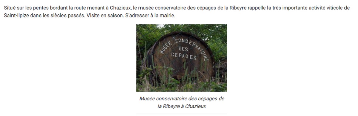 Le musée conservatoire des cépages de la Ribeyre
