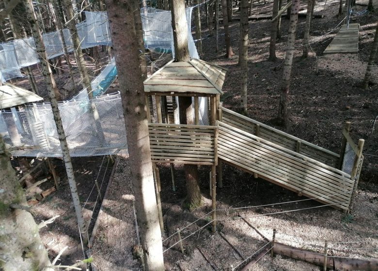 Accroche toi aux branches