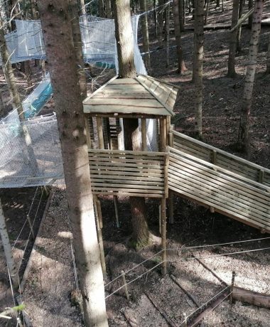 Accroche toi aux branches