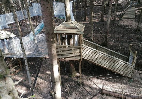 Accroche toi aux branches