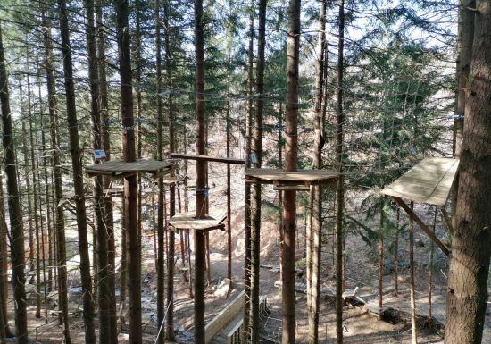 Accroche toi aux branches