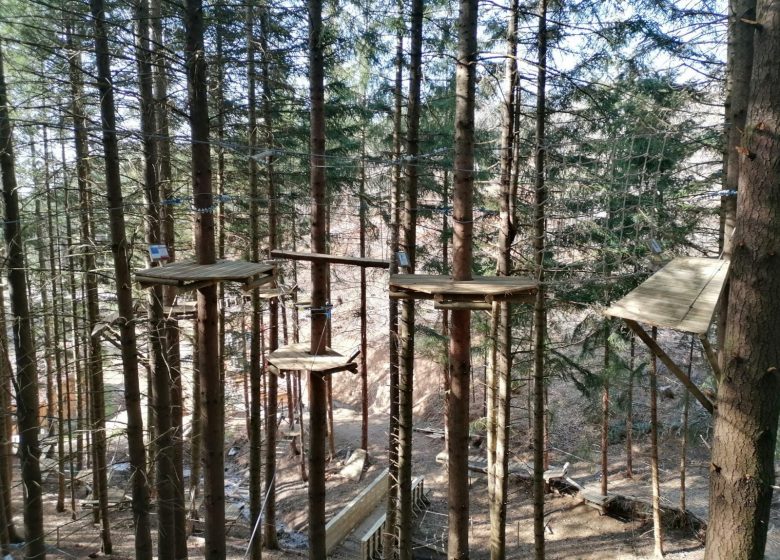 Accroche toi aux branches