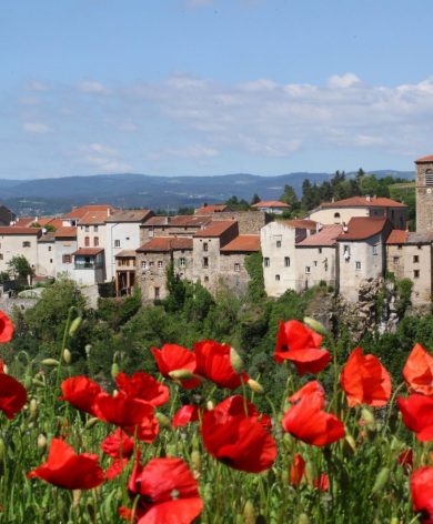 Le village de Vieille-Brioude