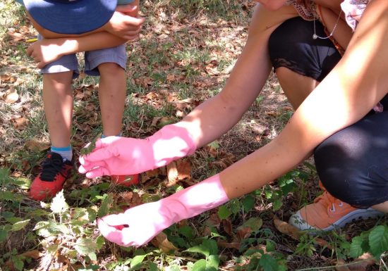 Eco-tours « Balade autosuffisance et gestes du sourciers »