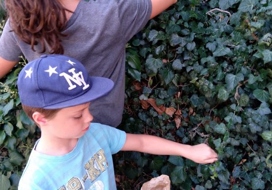 Eco-tours « Balade autosuffisance et gestes du sourciers »